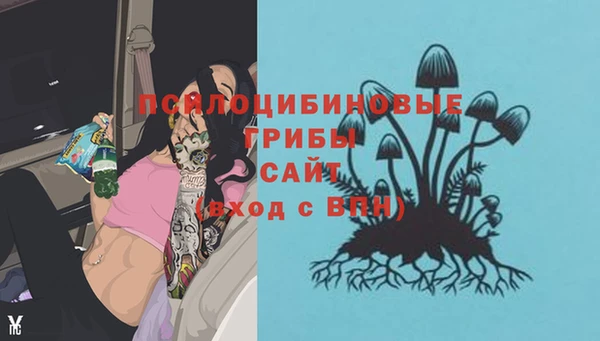 каннабис Алексеевка