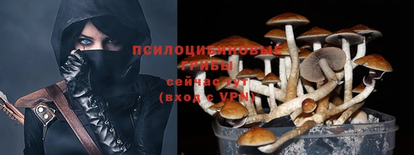 экстази Алексин