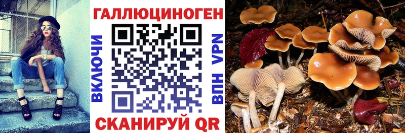 где продают наркотики  Копейск  Псилоцибиновые грибы Magic Shrooms 